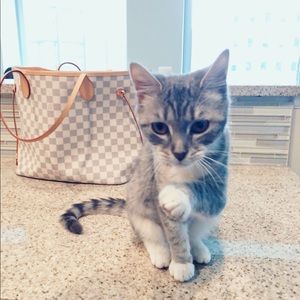 louis vuitton neverfull